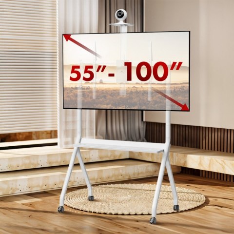 Stojak do TV na kółkach MC-114W Stojak do TV na kółkach MC-114W