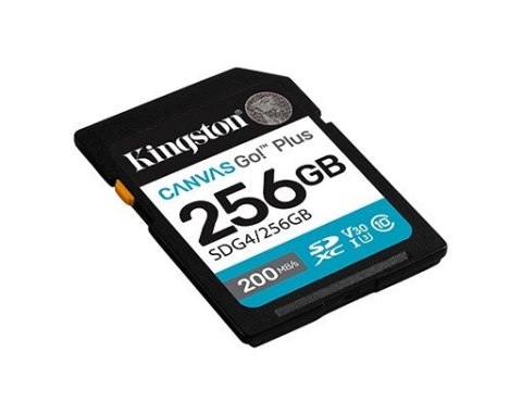 Karta pamięci SD 256GB Canvas Go Plus 200/160 MB/s C10 U3 V30 Karta pamięci SD 256GB Canvas Go Plus 200/160 MB/s C10 U3 V30