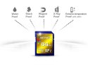 SD XC XPG 64GB UHS-1 U3/Class10 4K 3D