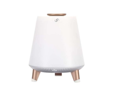 Przenośny głośnik Bluetooth BT25LAMP Przenośny głośnik Bluetooth BT25LAMP