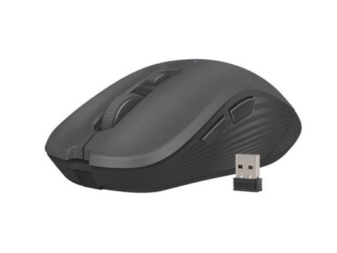 Mysz bezprzewodowa Robin 1600 DPI czarna Mysz bezprzewodowa Robin 1600 DPI czarna