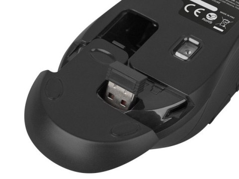 Mysz bezprzewodowa Robin 1600 DPI czarna Mysz bezprzewodowa Robin 1600 DPI czarna