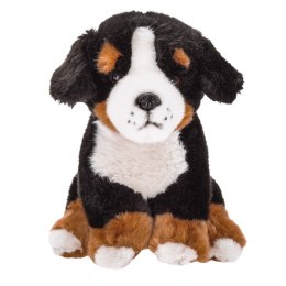 Maskotka Pies Berneński pasterski siedzący 20cm