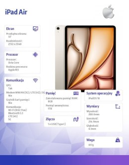 IPad Air 13 cali WiFi + Cellular 1TB Złoty