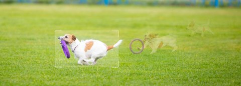 Kamera IP Imou Cruiser SC 4G 5MP IPC-K7FP-5H0TE