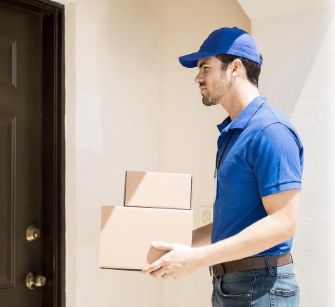 Kamera IP Reolink GO Series G330 camuflage z panelem solarnym