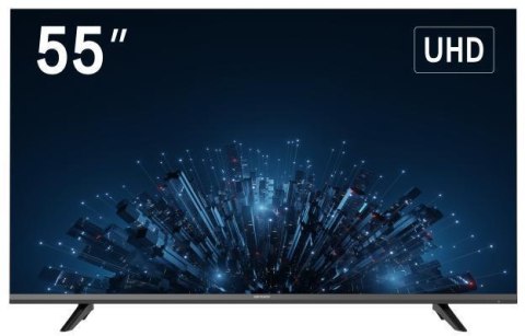 Monitor Hikvision DS-D5055U3-1V0S