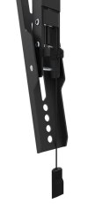Uchwyt ścienny WL35-550BL16 40-75 cali